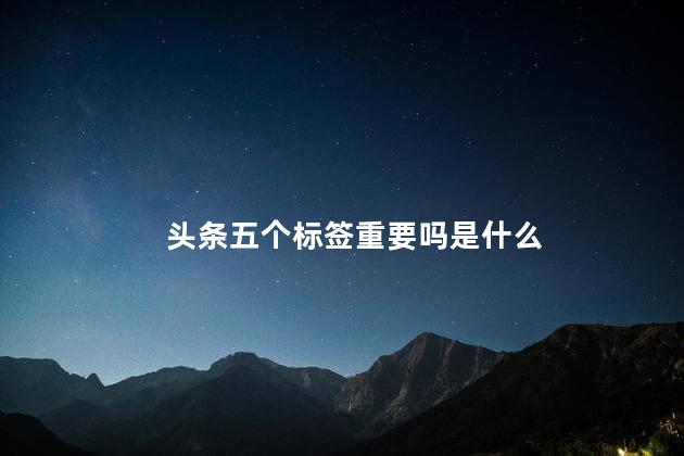 头条五个标签重要吗是什么