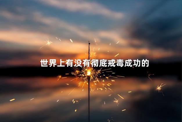 世界上有没有彻底戒毒成功的