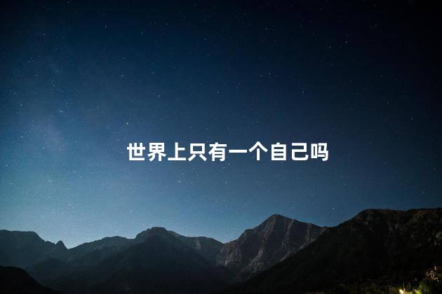 世界上只有一个自己吗