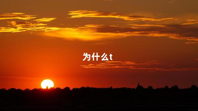 为什么t