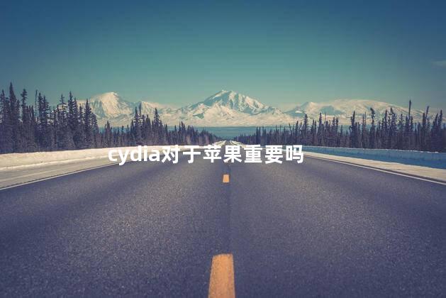 cydia对于苹果重要吗