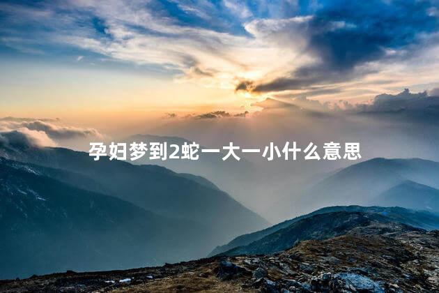 孕妇梦到2蛇一大一小什么意思