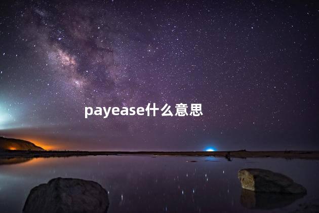 payease什么意思