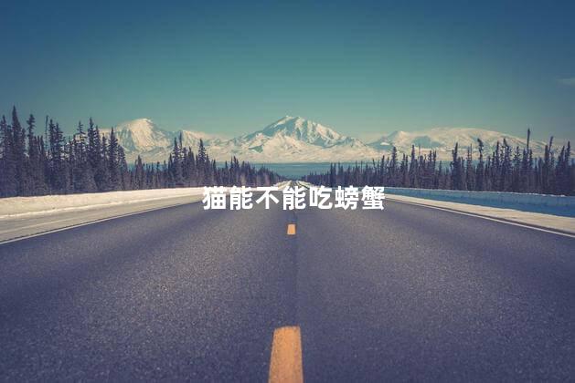 猫能不能吃螃蟹