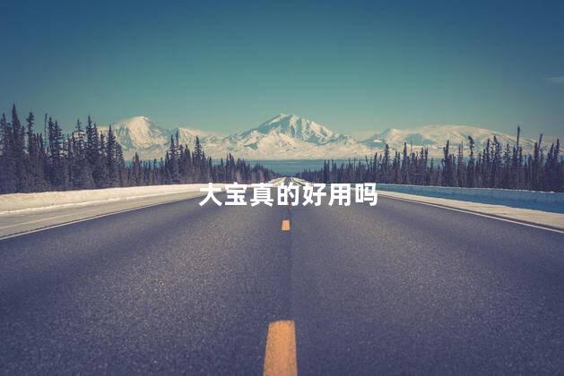 大宝真的好用吗