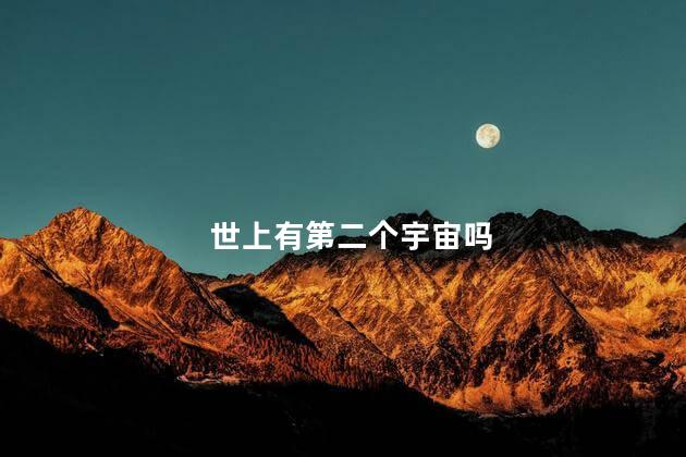 世上有第二个宇宙吗