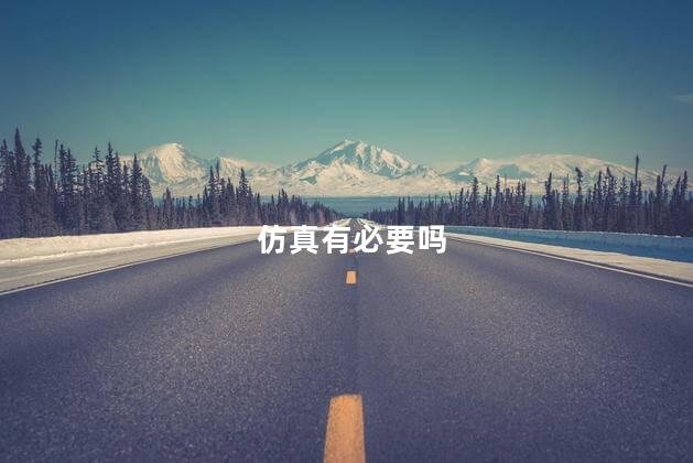 仿真有必要吗
