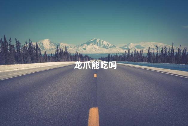 龙爪能吃吗