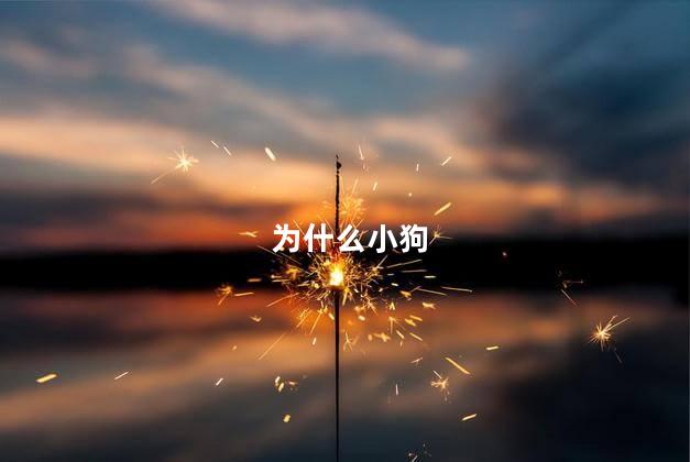 为什么小狗