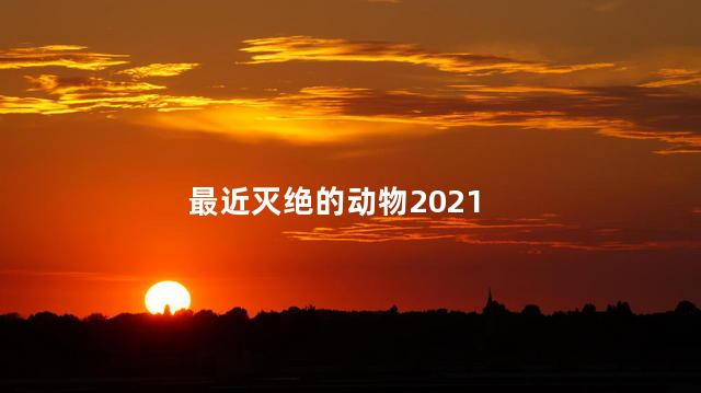 最近灭绝的动物2021