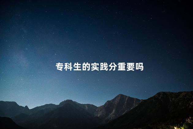 专科生的实践分重要吗