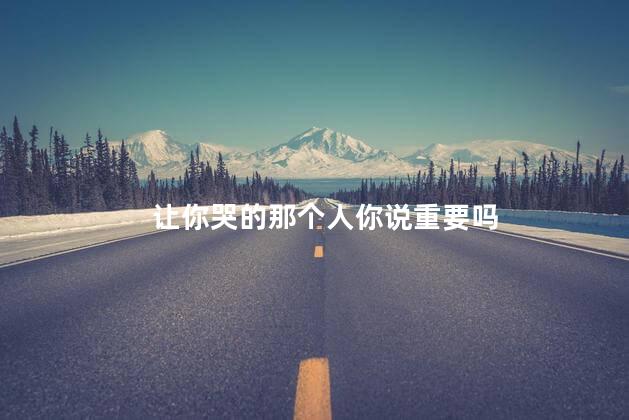 让你哭的那个人你说重要吗