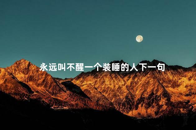 永远叫不醒一个装睡的人下一句