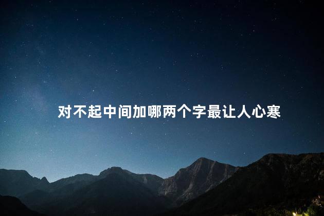 对不起中间加哪两个字最让人心寒