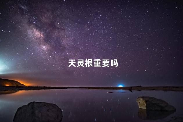 天灵根重要吗
