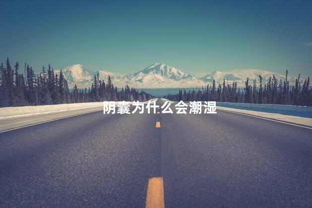阴囊为什么会潮湿