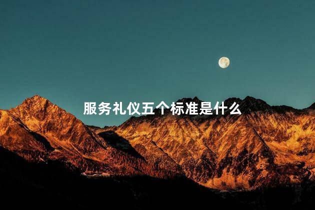 服务礼仪五个标准是什么