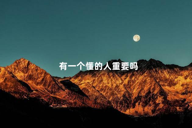 有一个懂的人重要吗