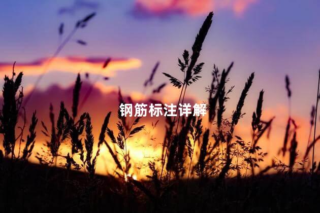 钢筋标注详解
