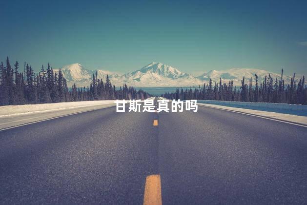 甘斯是真的吗