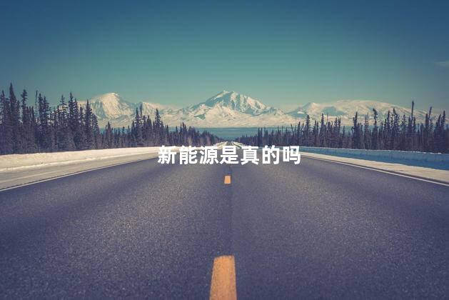 新能源是真的吗