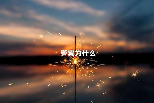 警察为什么