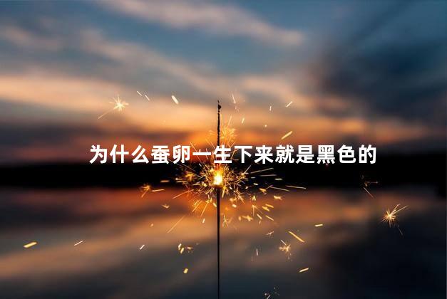 为什么蚕卵一生下来就是黑色的