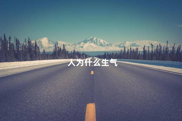 人为什么生气