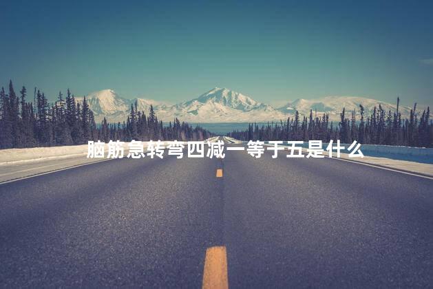 脑筋急转弯四减一等于五是什么