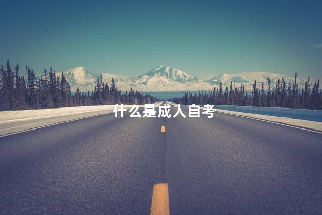 什么是成人自考