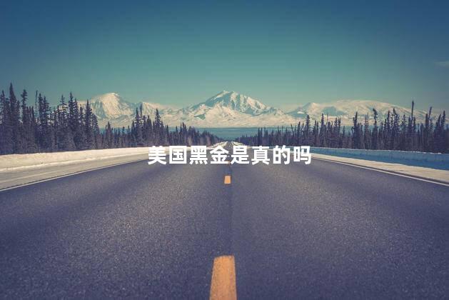 美国黑金是真的吗