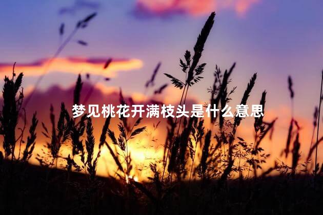 梦见桃花开满枝头是什么意思