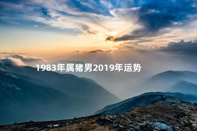 1983年属猪男2019年运势