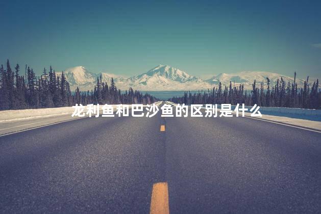 龙利鱼和巴沙鱼的区别是什么