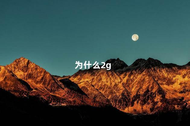 为什么2g
