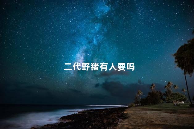 二代野猪有人要吗