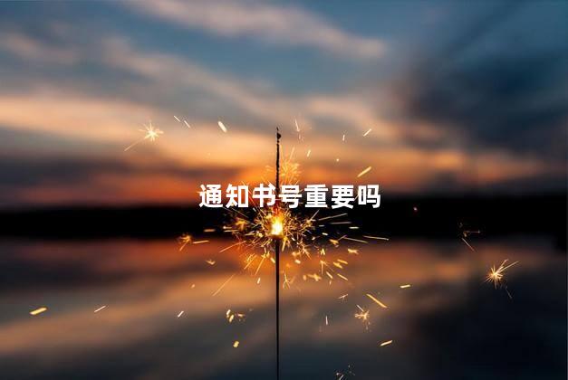 通知书号重要吗