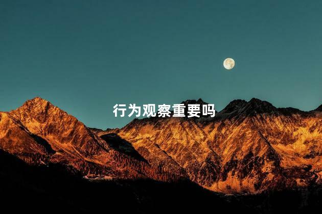 行为观察重要吗