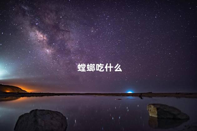 螳螂吃什么