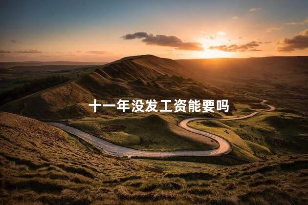 十一年没发工资能要吗