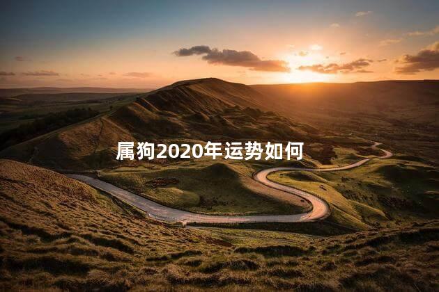 属狗2020年运势如何