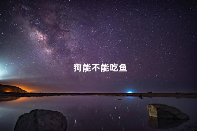 狗能不能吃鱼