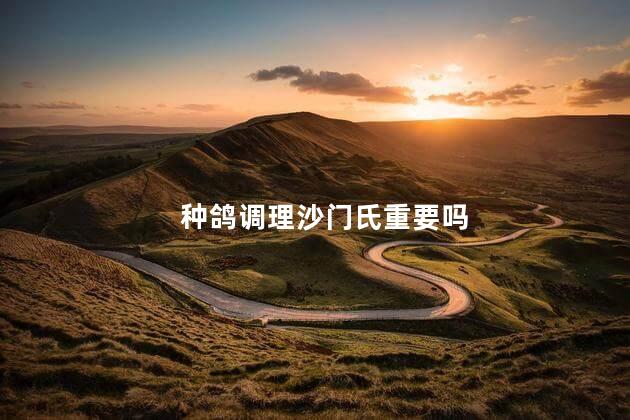 种鸽调理沙门氏重要吗