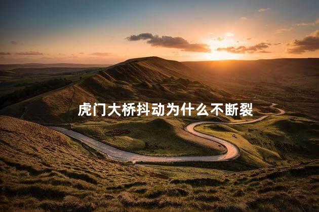 虎门大桥抖动为什么不断裂