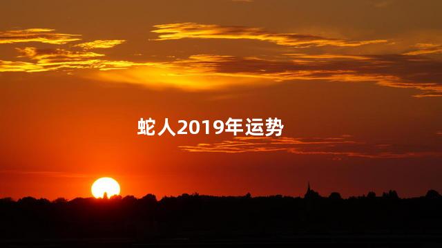 蛇人2019年运势