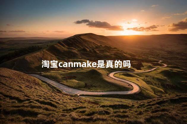 淘宝canmake是真的吗