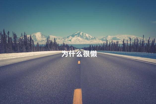 为什么很懒