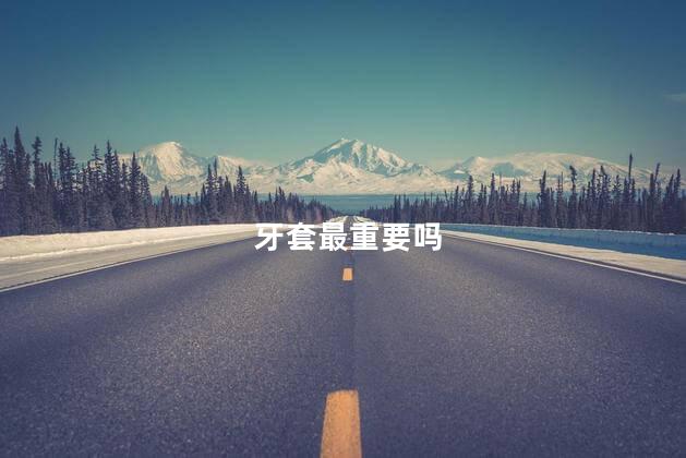 牙套最重要吗