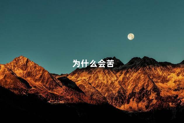 为什么会苦