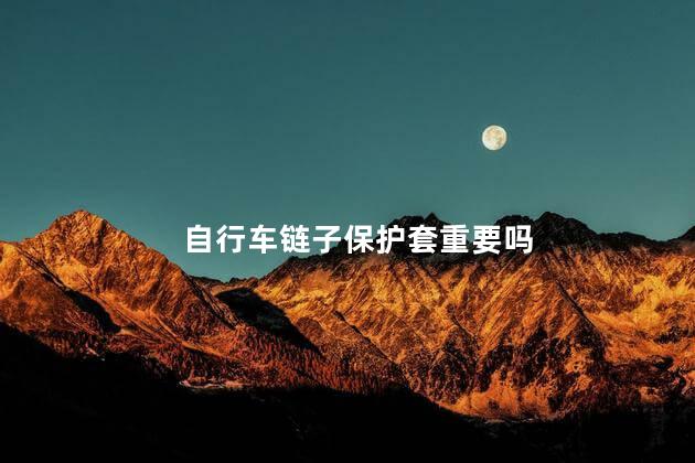 自行车链子保护套重要吗